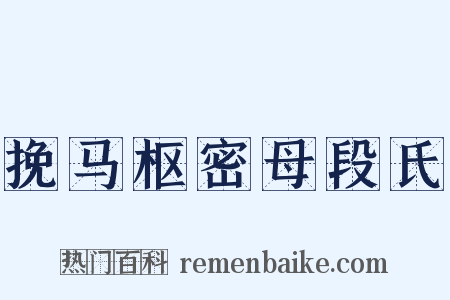 挽马枢密母段氏是什么意思的图片